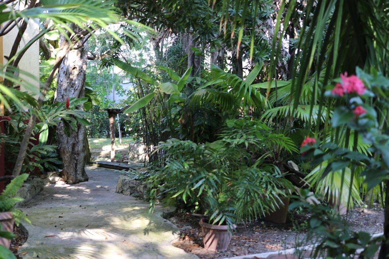 Casa Kin33 Panzió Cancún Kültér fotó