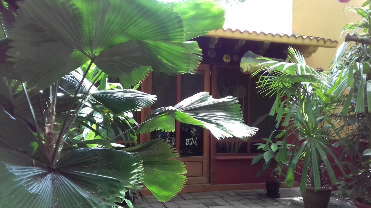 Casa Kin33 Panzió Cancún Kültér fotó